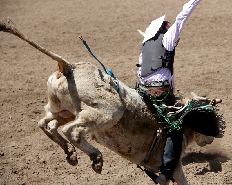 Bull Rider