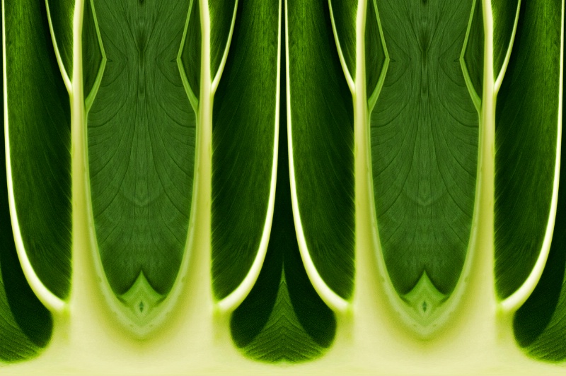 Nat Harbor Leaf--Kaleidoscope + Polar Cord.