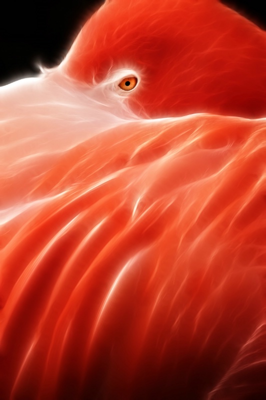 Fractalius Vertical Flamingo