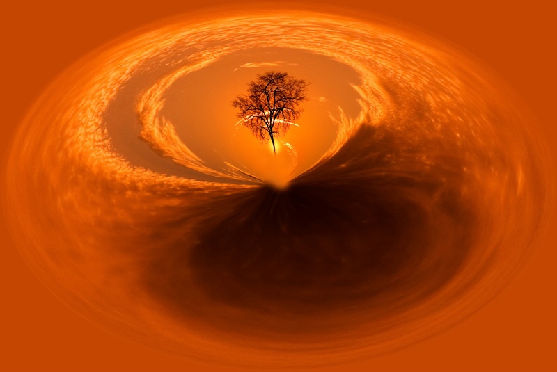 Sunset Tree Distorted