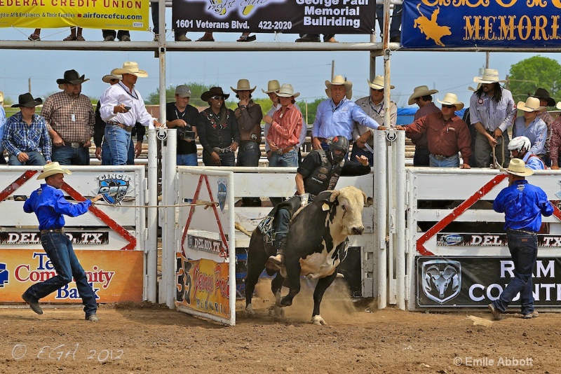 Cody Wood Out the chute on Houdini Highway