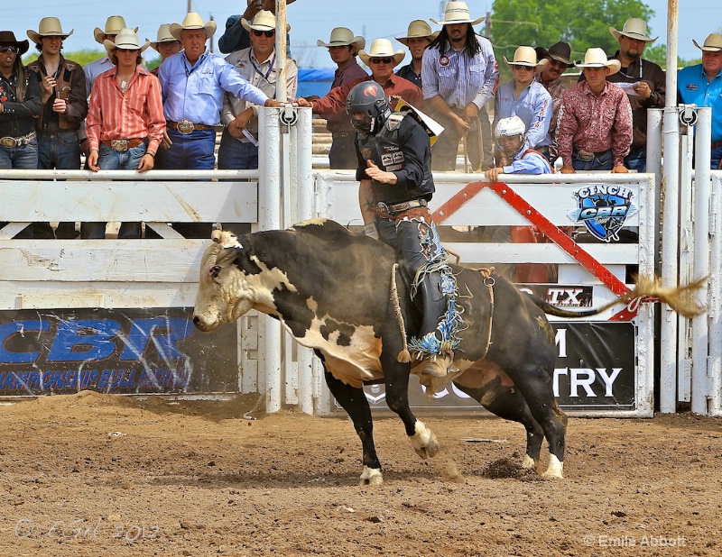 Cody Wood on Houdini Highway