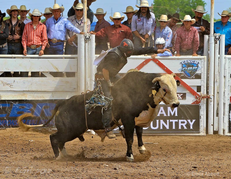 Cody Wood on Houdini Highway