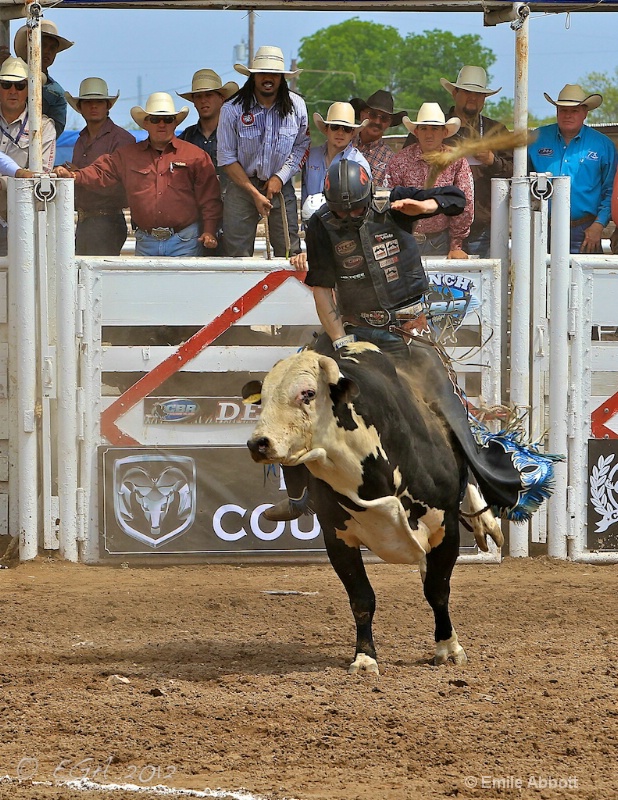 Cody Wood on Houdini Highway