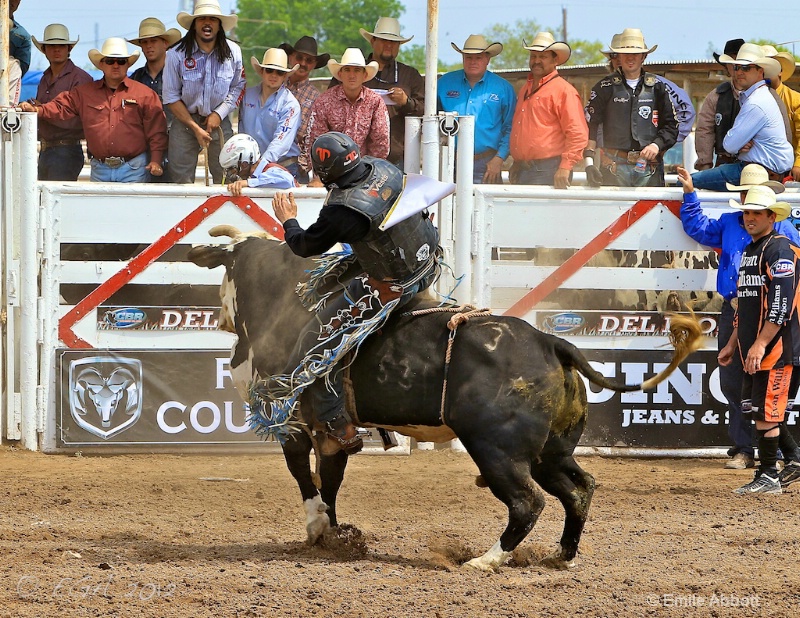 Cody Wood on Houdini Highway