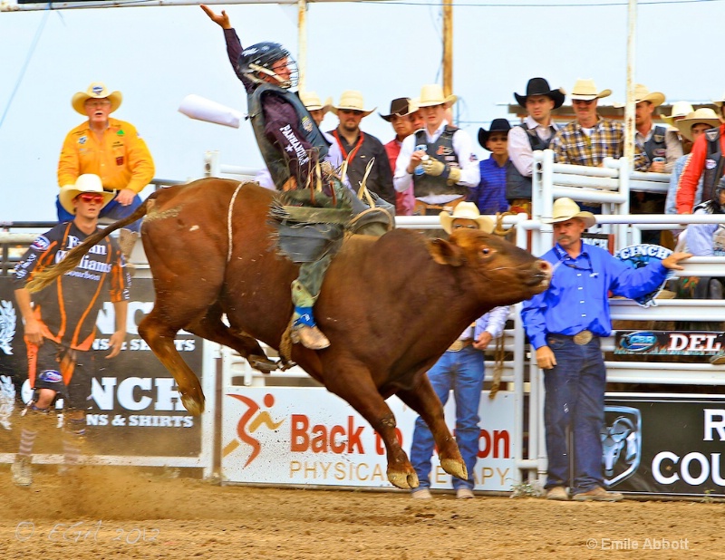 Cole Echols on Poison Apple