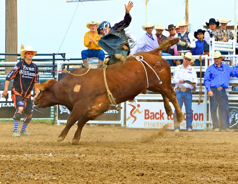 Cole Echols completes 8 sec on Poison Apple