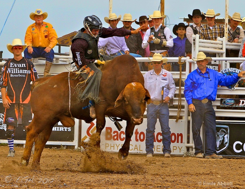 Cole Echols on Poison Apple "2012 Winner"