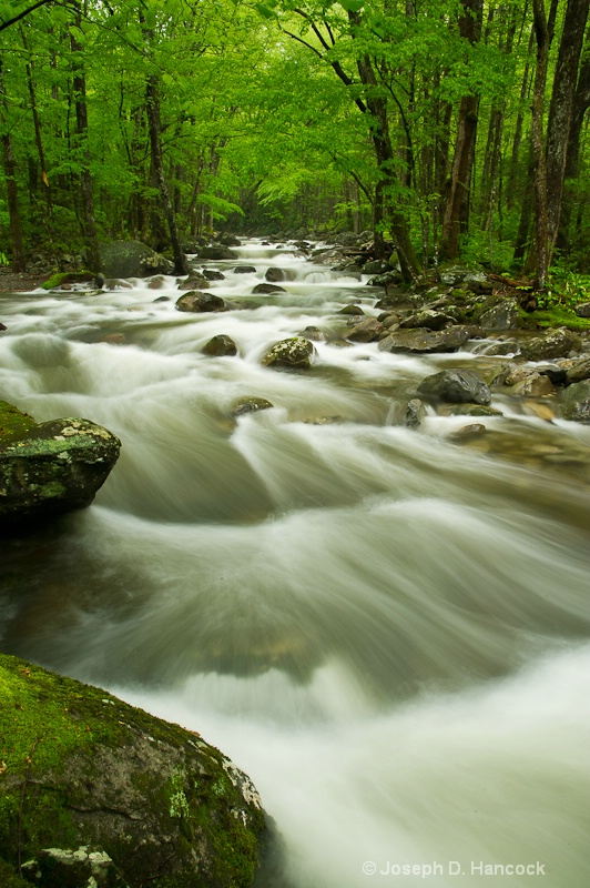 d3s 21224 Mountain Stream