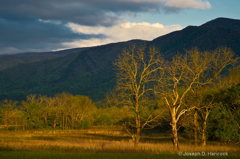 d3s 21489 Cade's Cove 