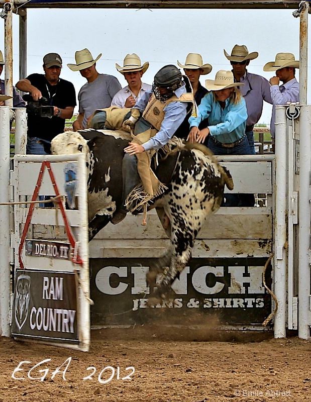 High bucking in the chute