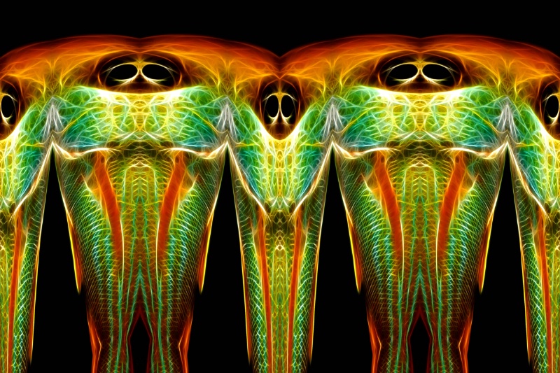 OBX Fish Abstract