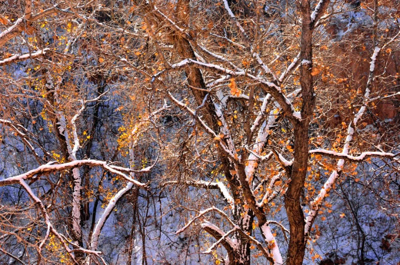 Palo Duro Canyon in the Snow