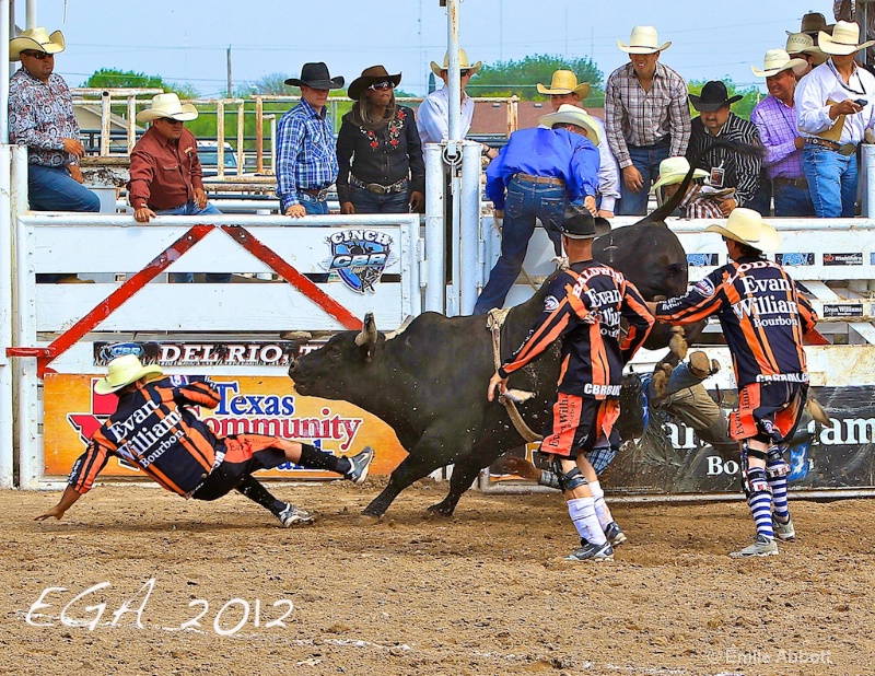 Bull Fighters