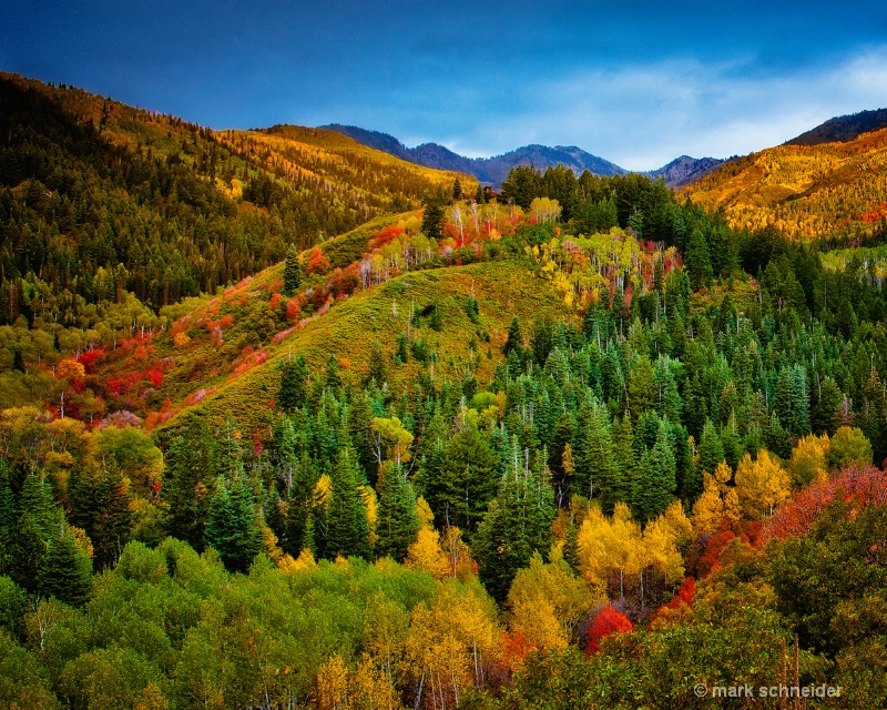 Colors of Wasatch