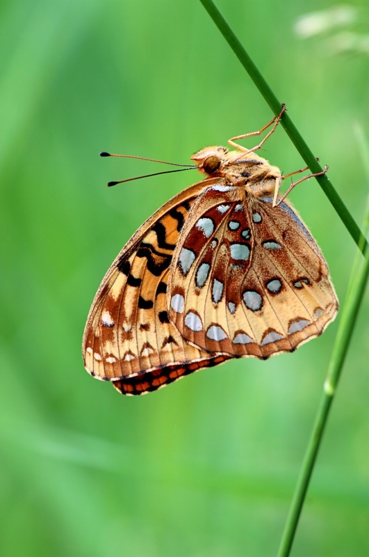 At Rest