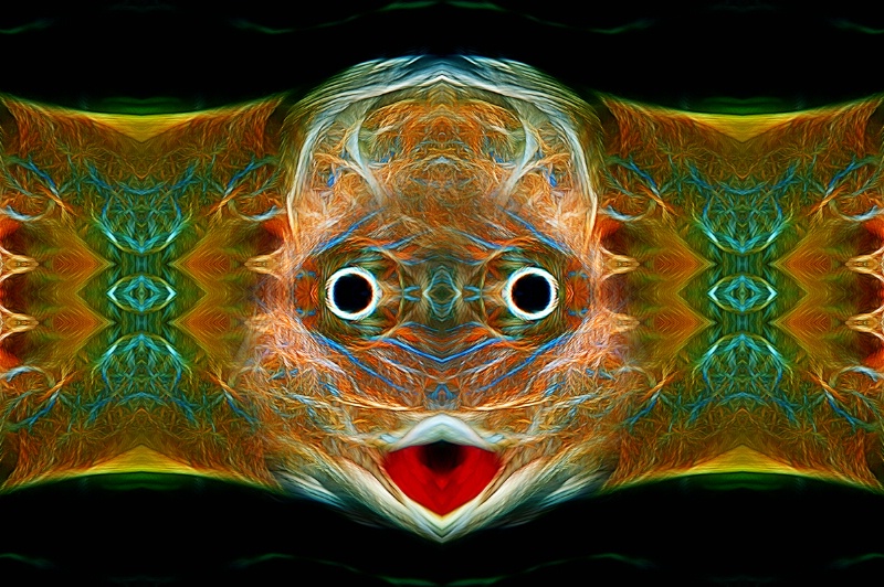 Atlanta Aquarium Fish Abstract