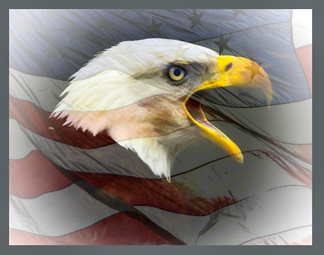Eagle and Flag: 2 of USA symbols