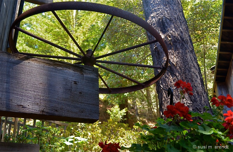 Big Wheel at Big Sur