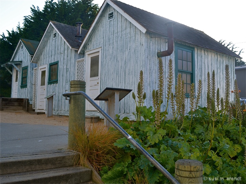 Cannery Row Houses