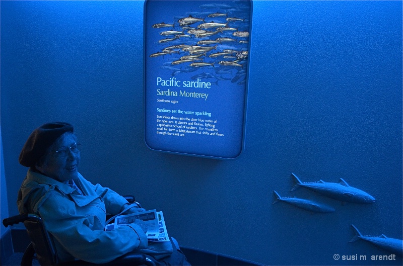 Mom at the Aquarium