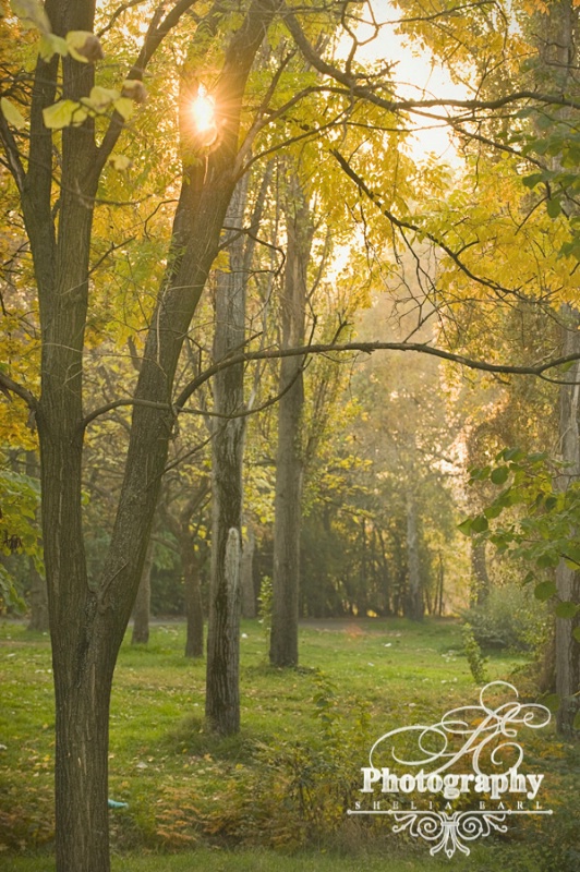 A Walk in the Park@@Skopje, Macedonia