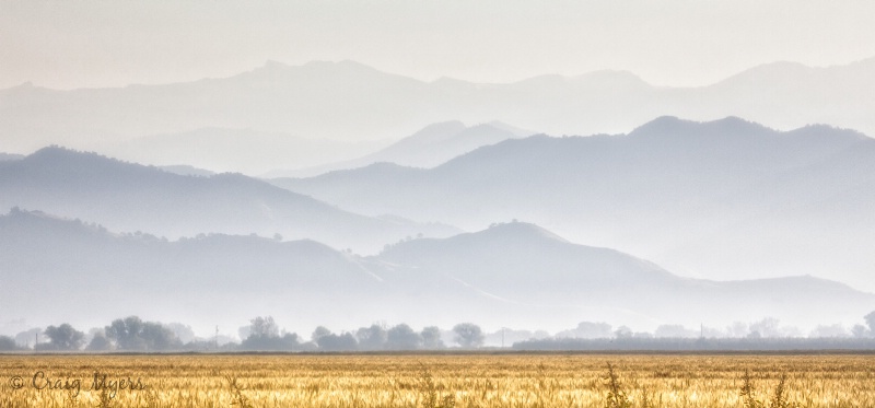 Wheat Field & Foothills
