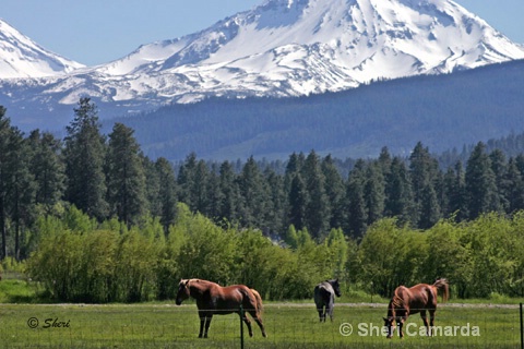 Black Butte Ranch, Oregon