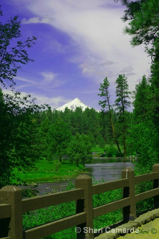 Head Waters of the Metolious River & Mt. Jefferson