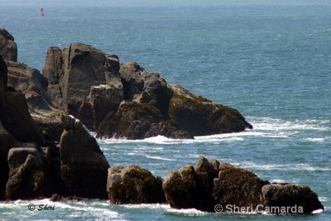 Oregon Coast