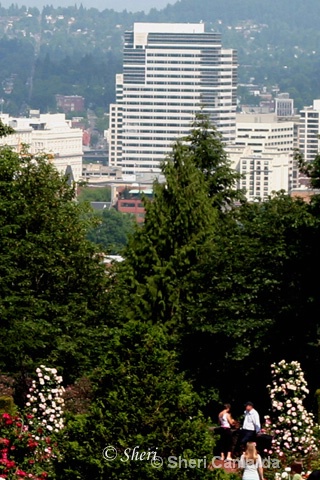 Portland, Oregon - Rose Garden