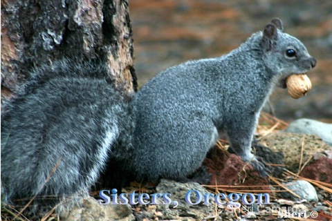 Sisters, Oregon