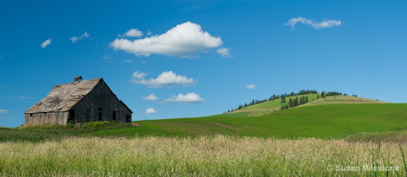 Barn & Field Palouse Pan