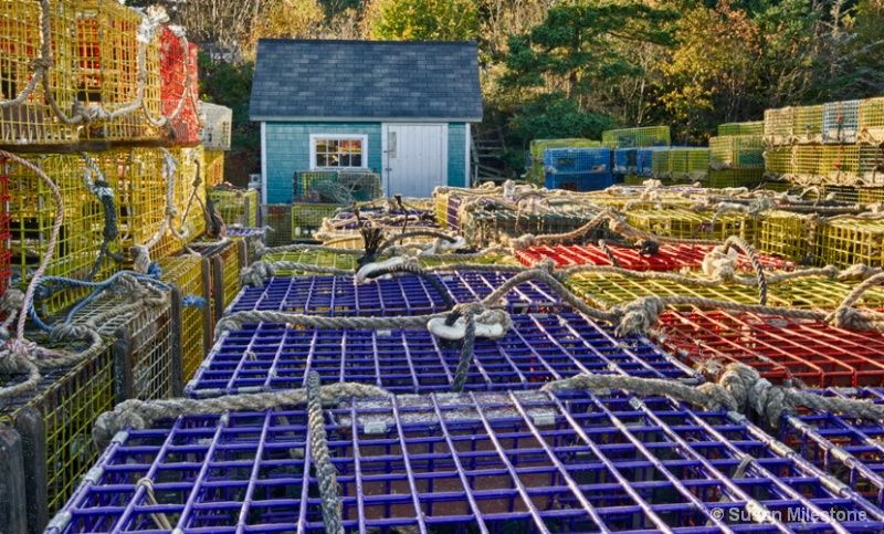 Lobster Traps Acadia, ME