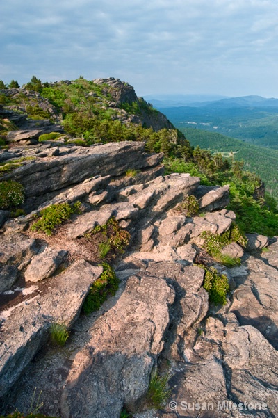 Grandfather Mtn 7953