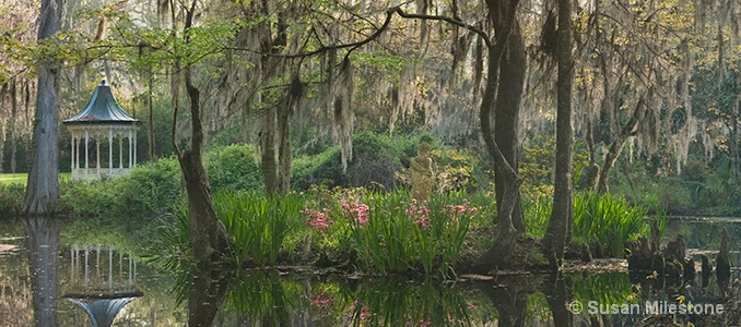 Magnolia Gardens Gazebo Reflection 8336
