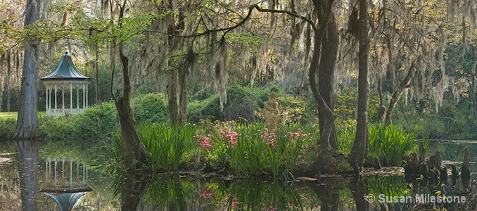 Magnolia Gardens Gazebo Reflection 8336