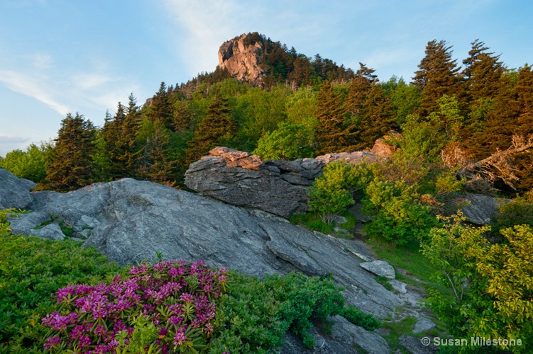 Grandfather Mtn 7663