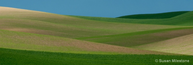 Palouse Fields 3570