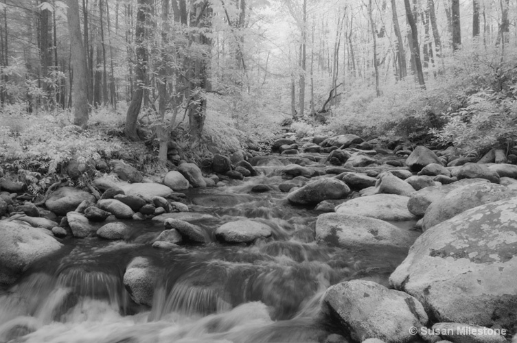 Roaring Fork IR Stream 8292