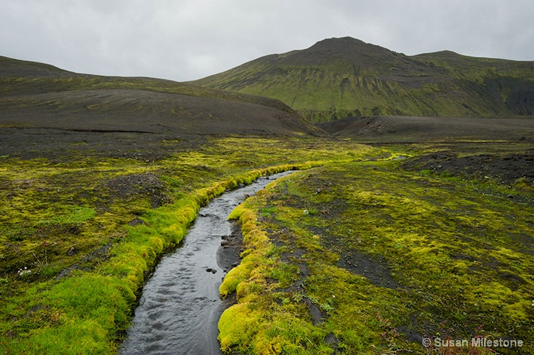 Mossy Stream 2986