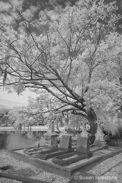 Magnolia Cemetery IR 8667