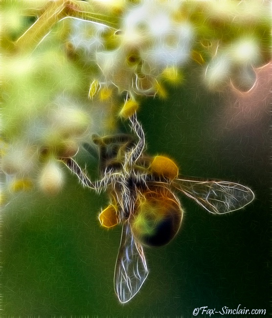 Under Bee Art 