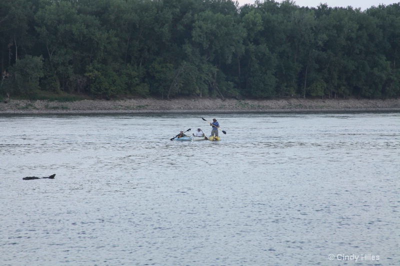 img 0622