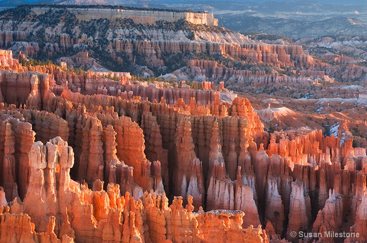 Bryce Canyon 8097