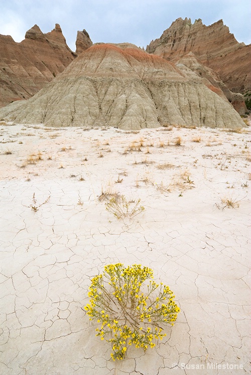 Badlands NP 0707