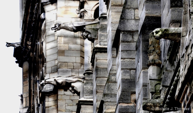 Gargoyles on the Side of Notre Dame, Paris