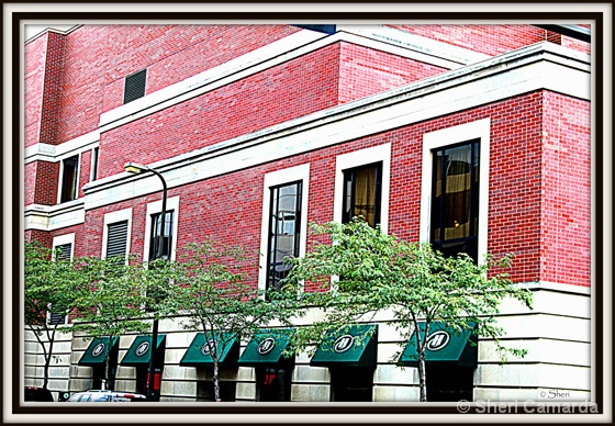 The Hotel