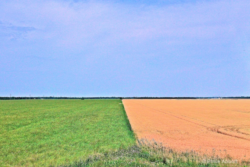 The Prairies