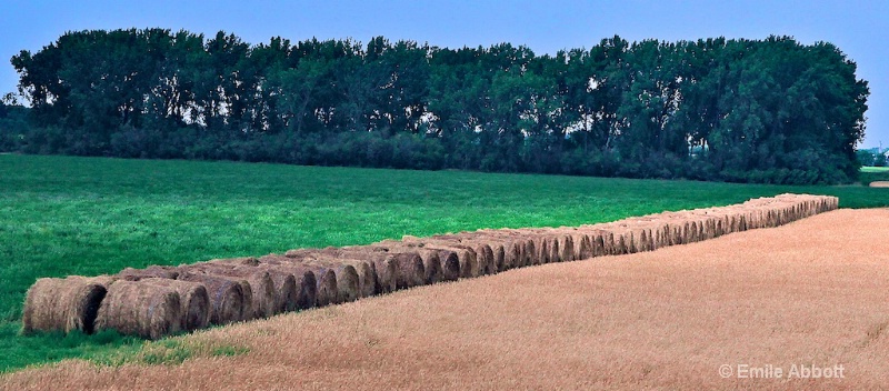 The Prairies of Canada